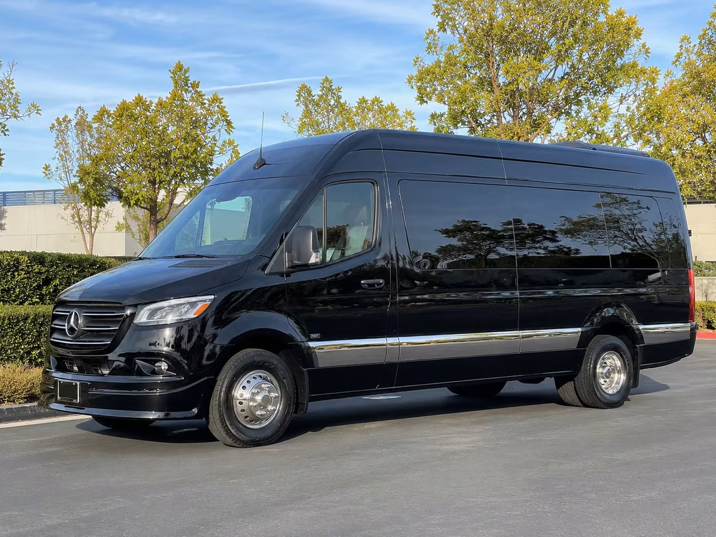 sprinter van with driver